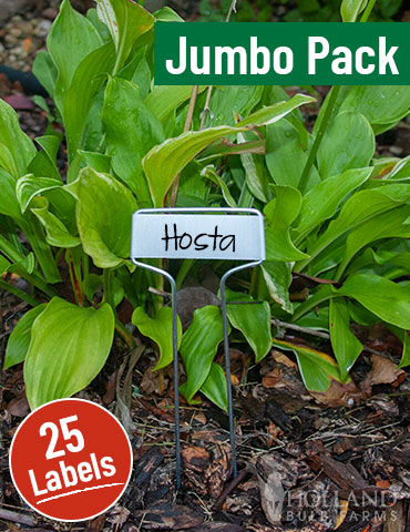 Cap Style Plant Labels Jumbo Pack 