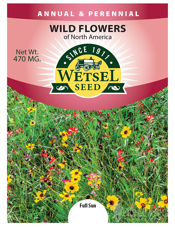 Perennial Wildflower North American Mix