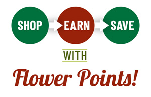 Flower Points Graphic