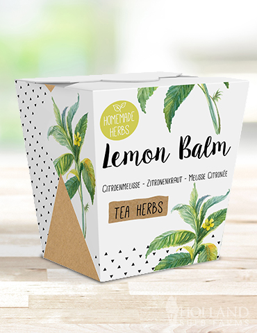 Homemade Herb Kit- Tea Lemon Balm